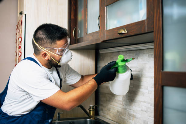 Best Affordable Pest Control Services  in Aldine, TX